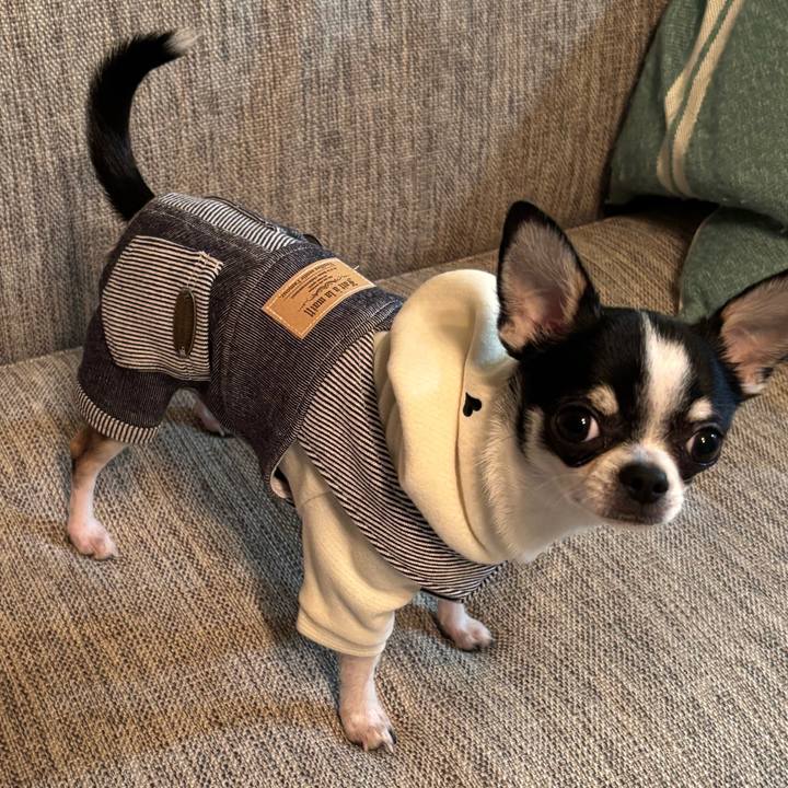 74999c1f cd30 4c27 99de c9ec90831cb0 1764219984040