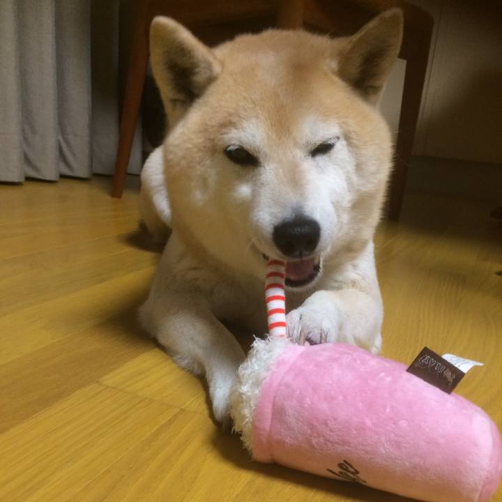 749a08aa 9c7b 43be b3f1 e7a961a6779b 1763965757208