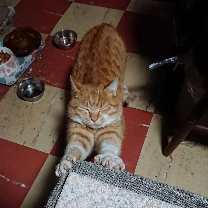 749a2060 e458 4e9b b097 f34874abff47 1578599665259