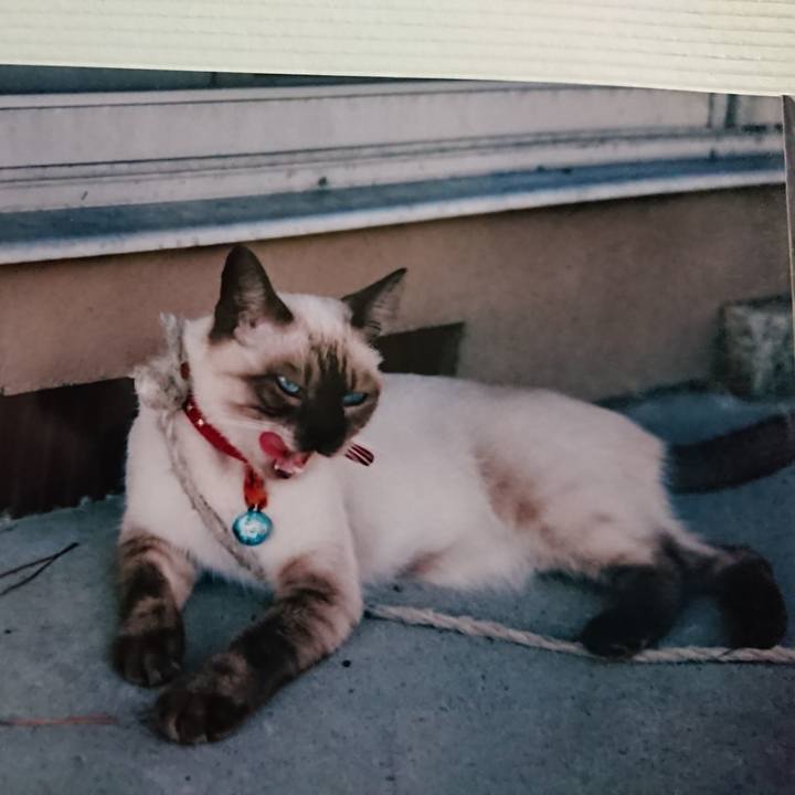 749a216c 0e64 4676 a673 07e8f8e391c2 1599596630515