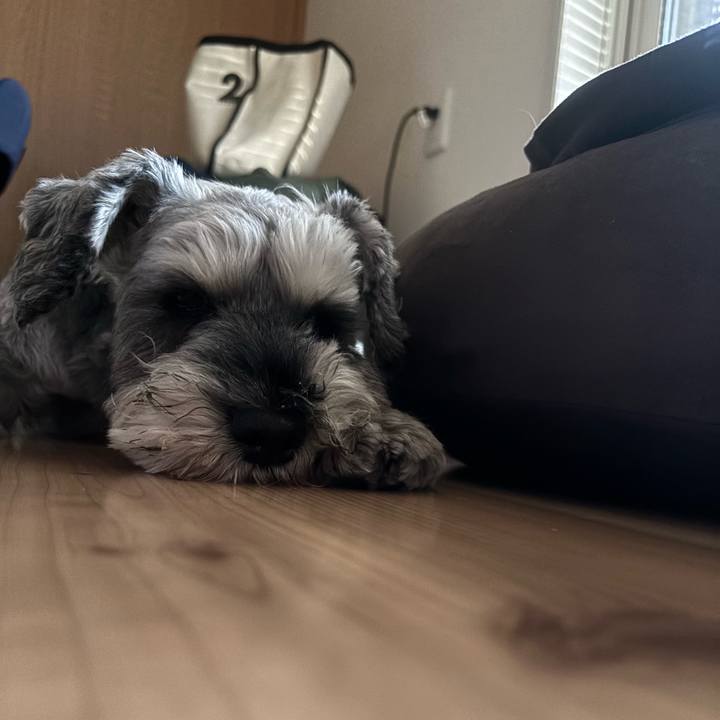 749a2738 bee7 48f6 8e4f 07486572ef1a 1752997374289