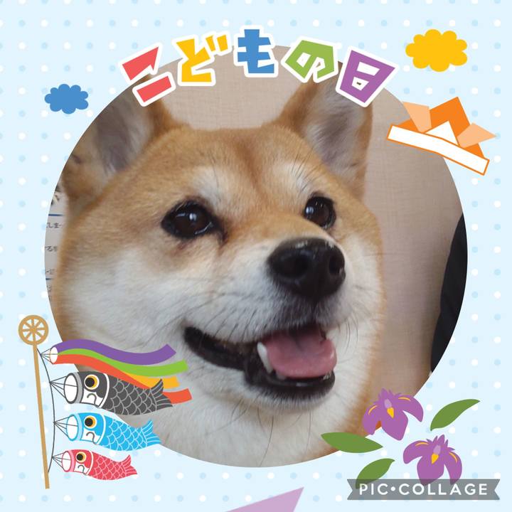 749a3e72 f4a4 47e7 91ac 228d6657c0e4 1714865413971