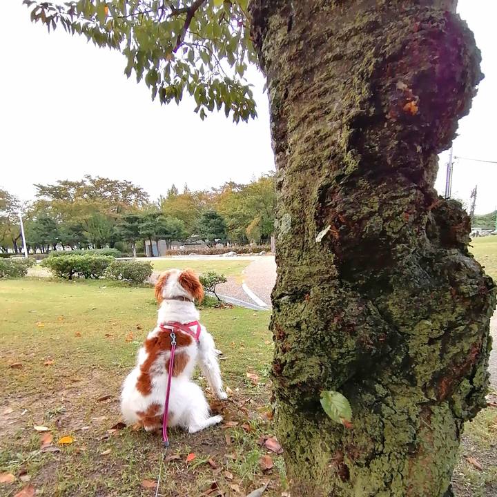 749a3f7f a509 4126 b58e 3b799370dd07 1603439945618