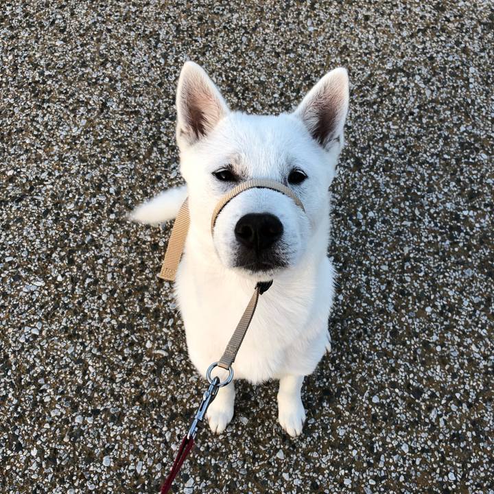 749a453f bc82 4c42 bf15 8cb4ef7e2bb8 1520770656166