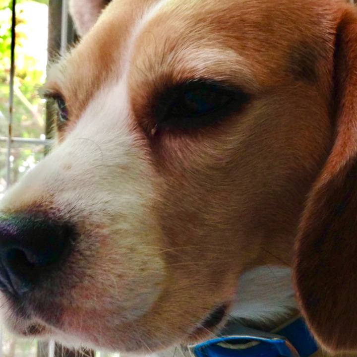 749a738d 3987 4bd6 a9c7 37a55553510c 1758086414174