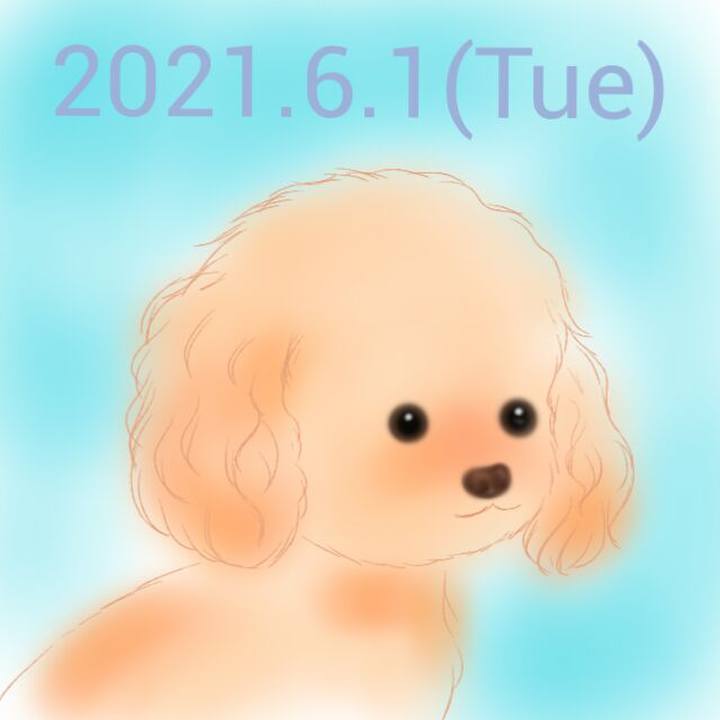 749acafc bb1a 4e2d 9a0e c13ee44cc6ad 1622548657711
