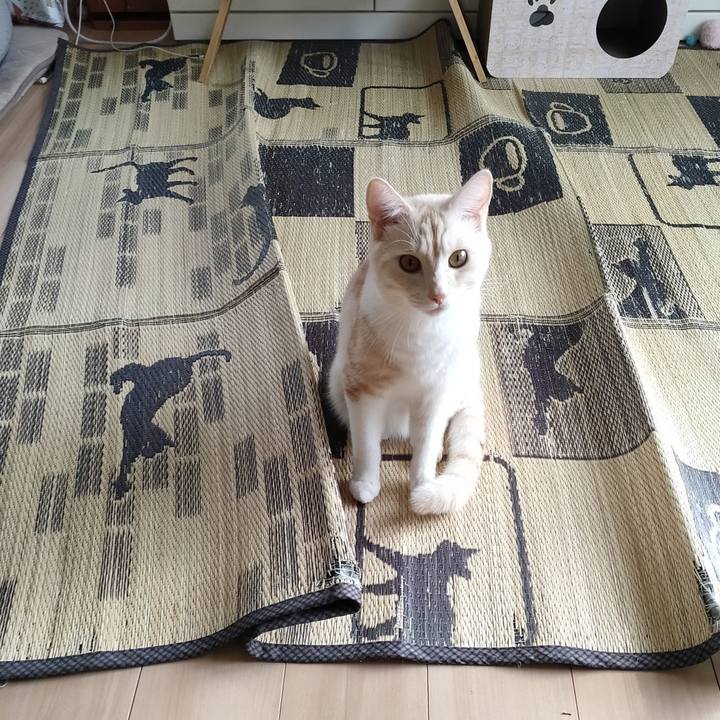 749b0d7a adb8 49d6 8dc6 6112193694cd 1664756001929