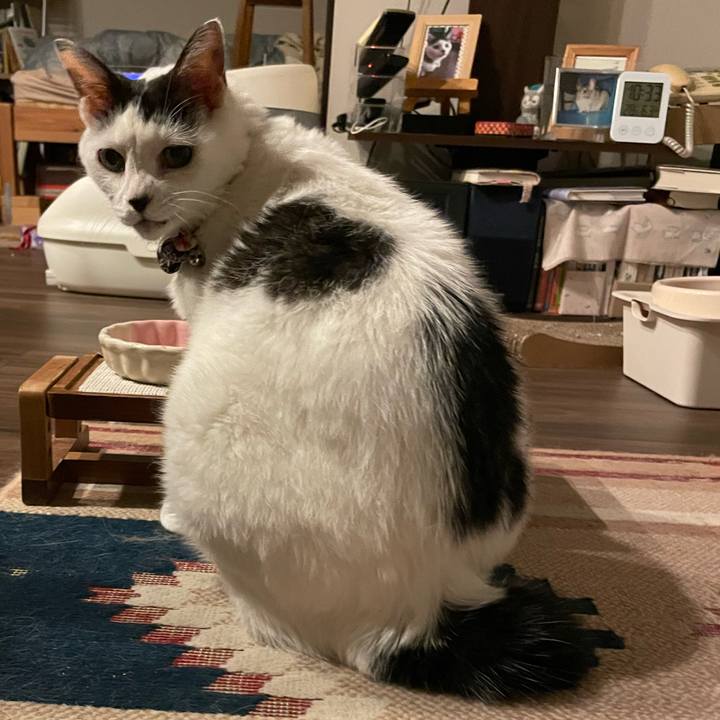 749b0e25 bdd1 475d 8df5 c1b6202f01c9 1755956159089