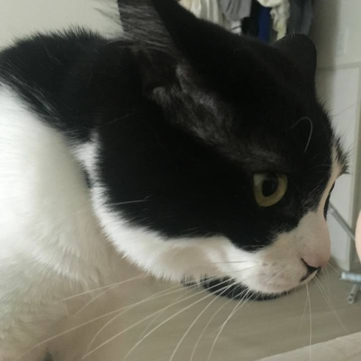 749b18c5 ad82 4624 ad05 e1b39e1573f5 1558561795711