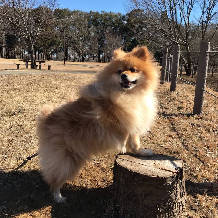 749b33fe e67a 431b a9fa 23f87d6e1571 1548593743396