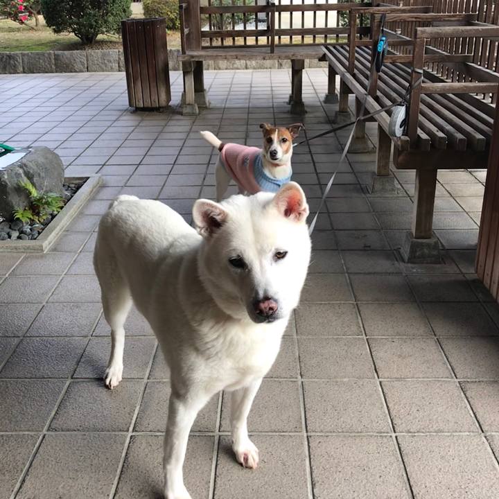 749b6246 4fcd 4486 9a65 0dee5f105d8d 1514509684215