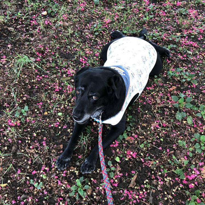 749b7eec e0cc 4532 b6ed 1cbe1d082038 1599460015397