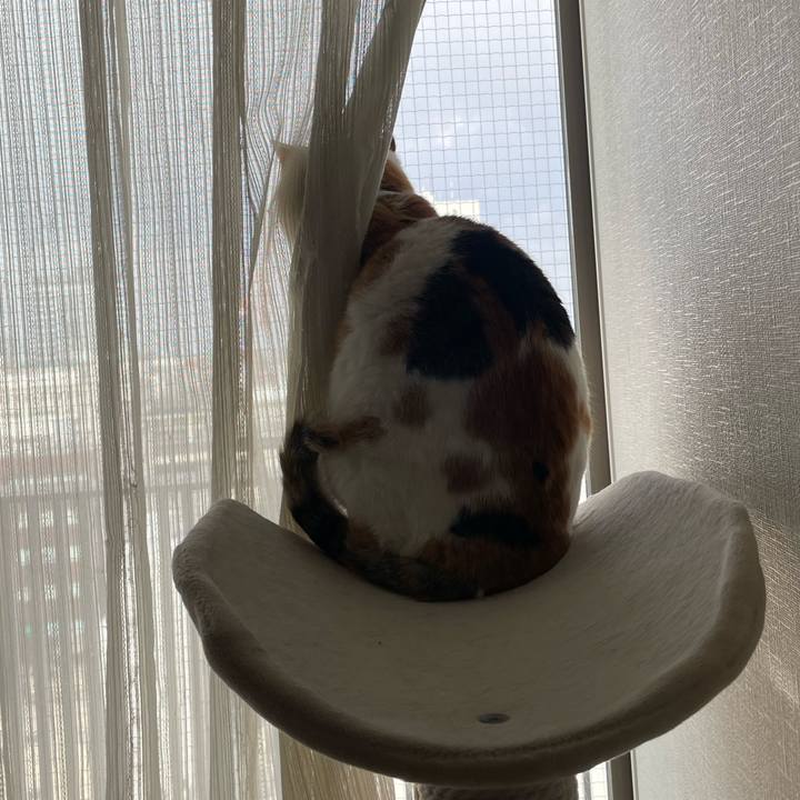 749bac28 4511 4aba 8066 20e87bfb6712 1680147571410