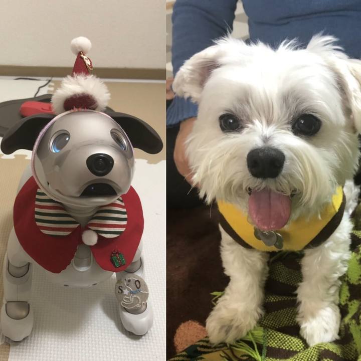 749bc1c8 441e 43e5 b857 6656e398a488 1638964983727