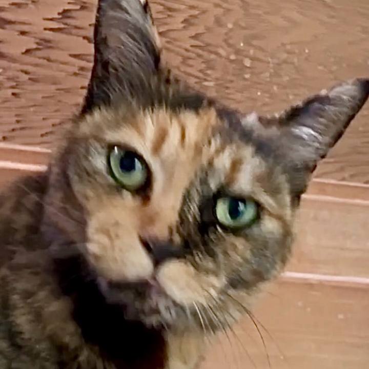 749bdcb9 14a0 4cc4 b04b 7d51580b482d 1747364245064