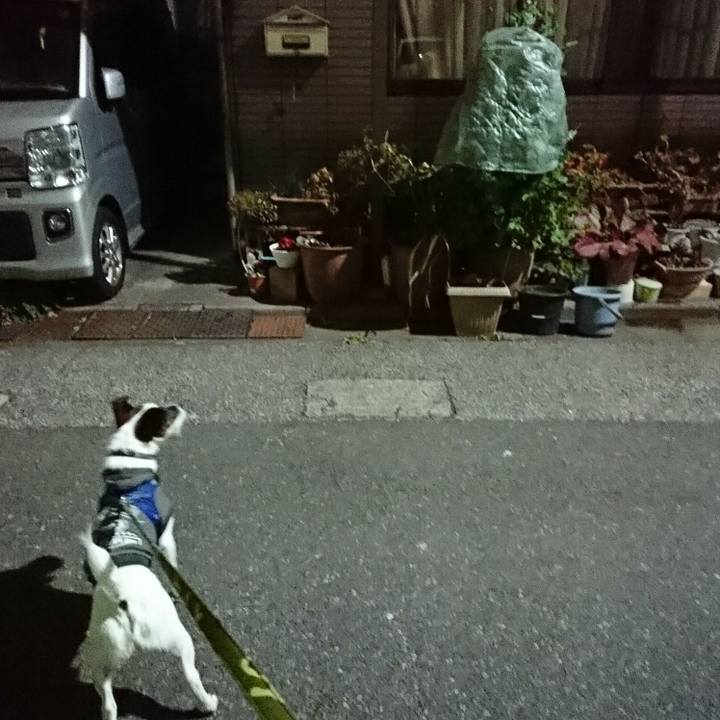 749bf2ff 1b30 4e4b 854a 22effecead43 1518783336725