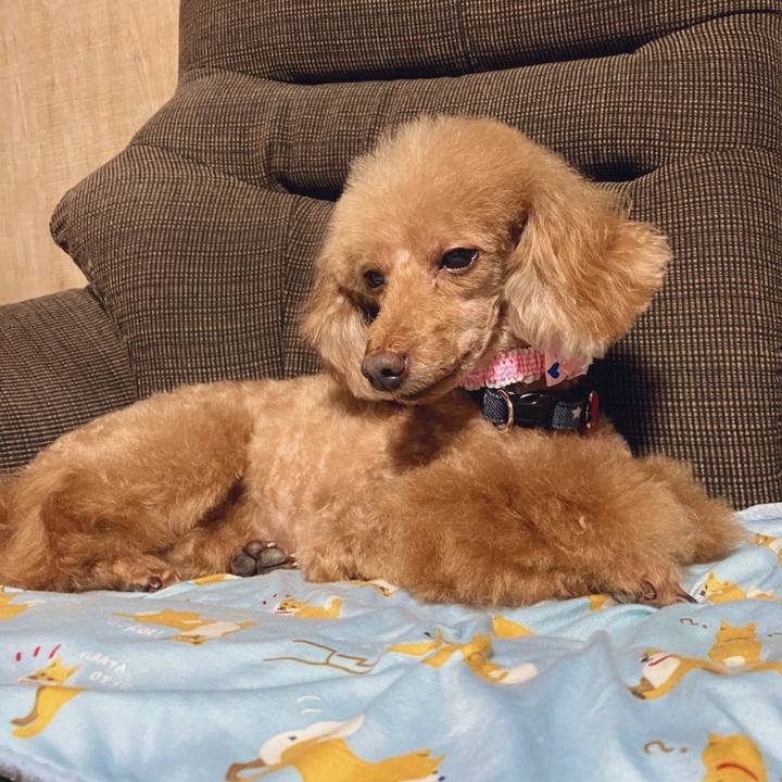 749c04bf a0af 4c3a 88bb 148e434f985c 1703064658388