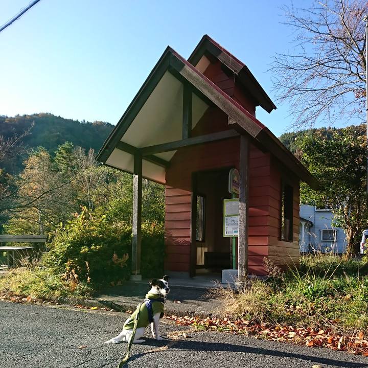 749c444e 8392 4031 b053 30e13bef11c4 1509835701188