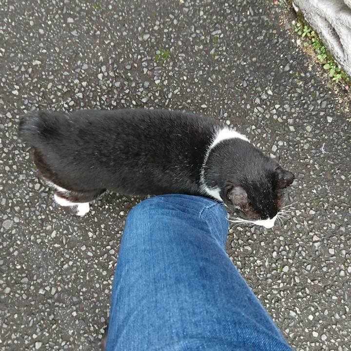 749c5818 7c91 44ac 81e3 ecea7abcd01f 1583725833462