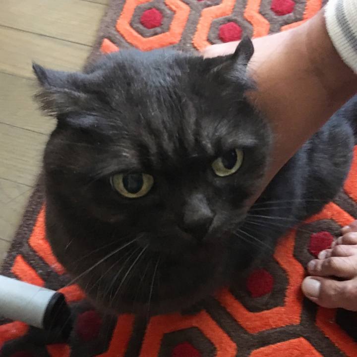 749c6af6 ba24 453d a8d9 4485fba37347 1542938865628