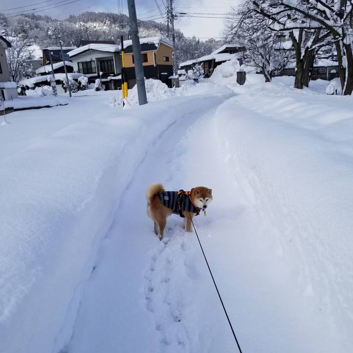 749c7991 0a6d 4c30 aadc a2792a7dfcba 1640665571107