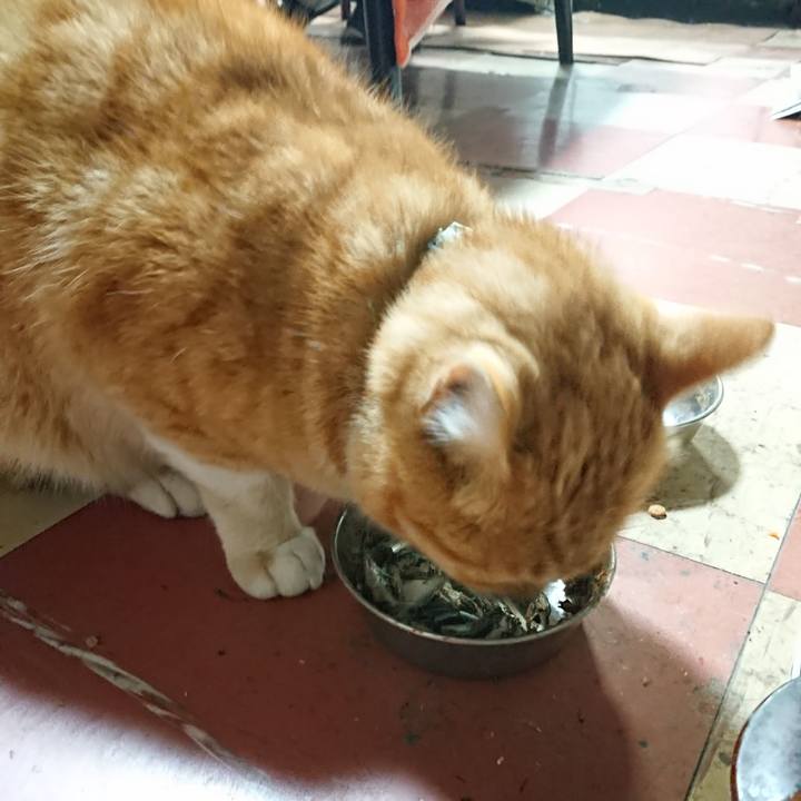 749c91a9 9ef8 4d3e af25 e6cd71d3a152 1585734711420