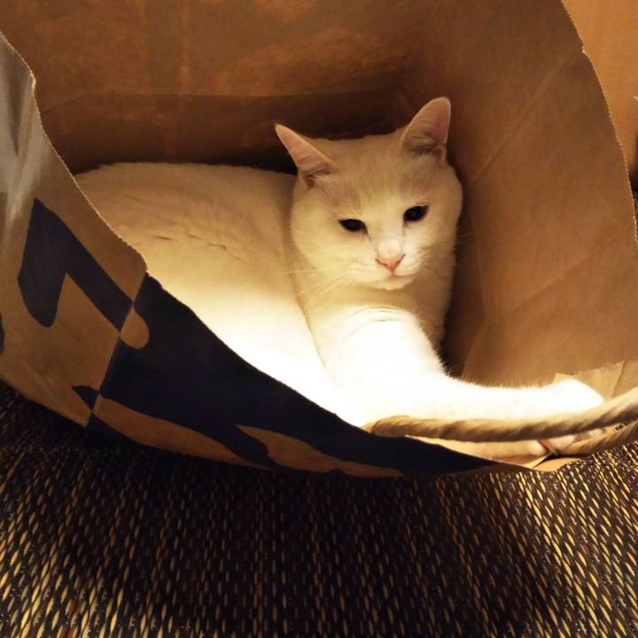 749c9668 f8da 4f66 a530 5825a8424ec7 1563452272445