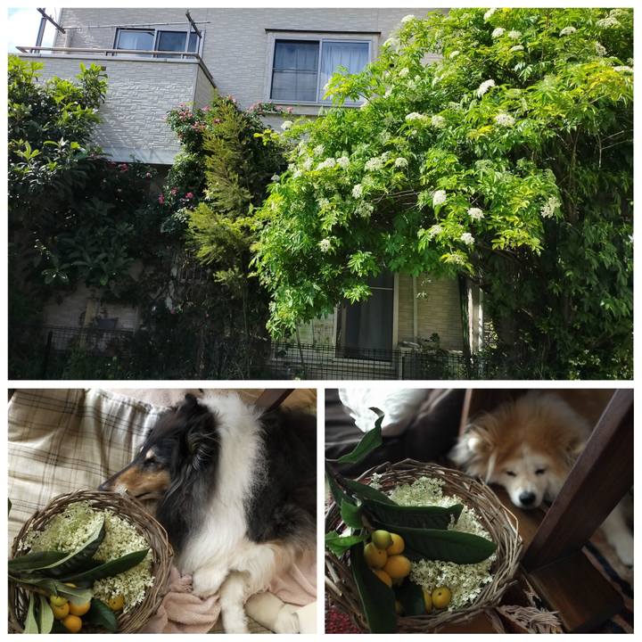 749ca539 43f7 46b6 b134 436f299067d9 1622376522278