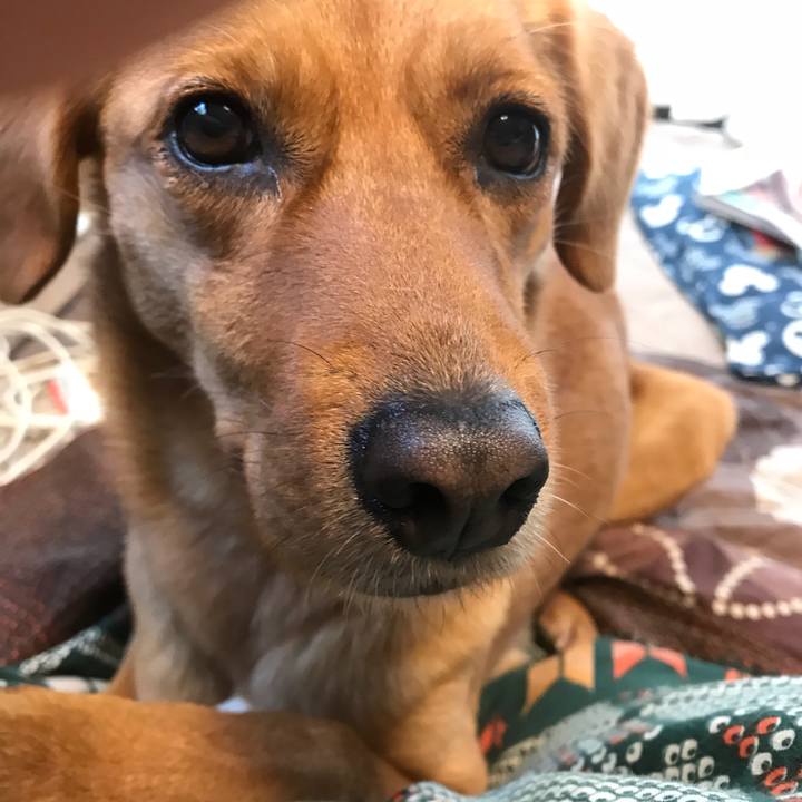 749ca9d7 b7aa 47a5 86cf 566436fe8093 1523685835462