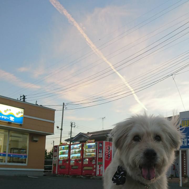 749cc8ff f272 4ab2 ad1b a46c60728197 1566034426444