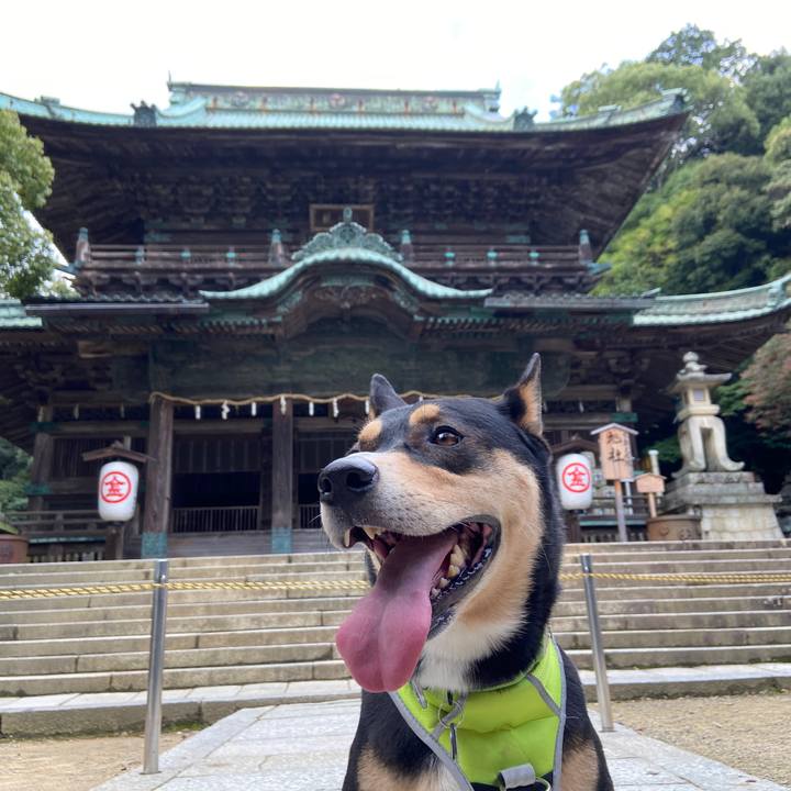 749ce120 82d9 4b93 bd34 d7f472712f78 1635327738148