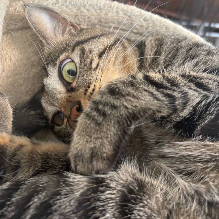 749ce9fc ef62 45ba bbee 1353fbd4fd78 1758852818057