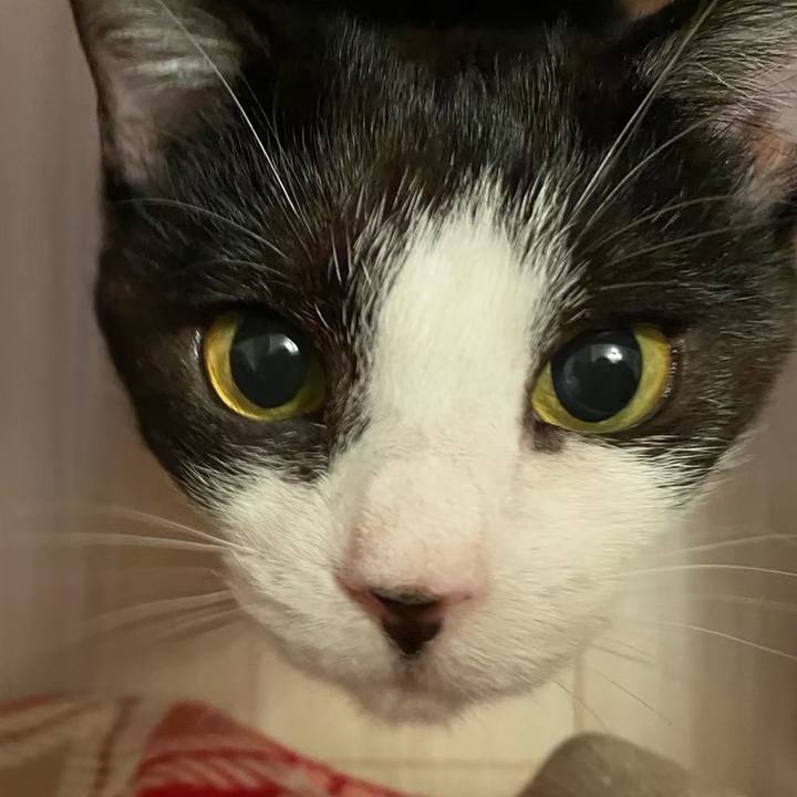 749d0506 a555 4f1c 9e18 0249fcb5fadc 1719668791929