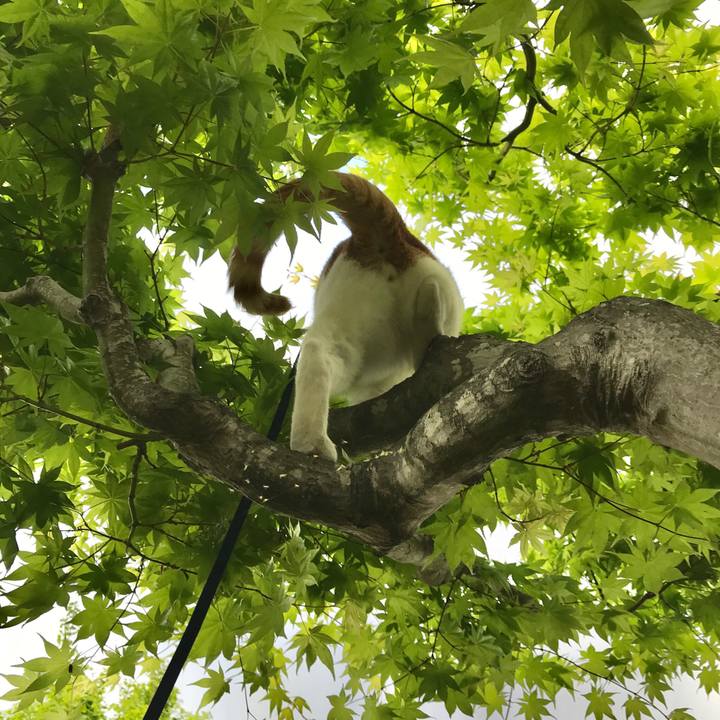 749d2729 c127 4b9b 96fe 5f18d7374bb9 1525947118421