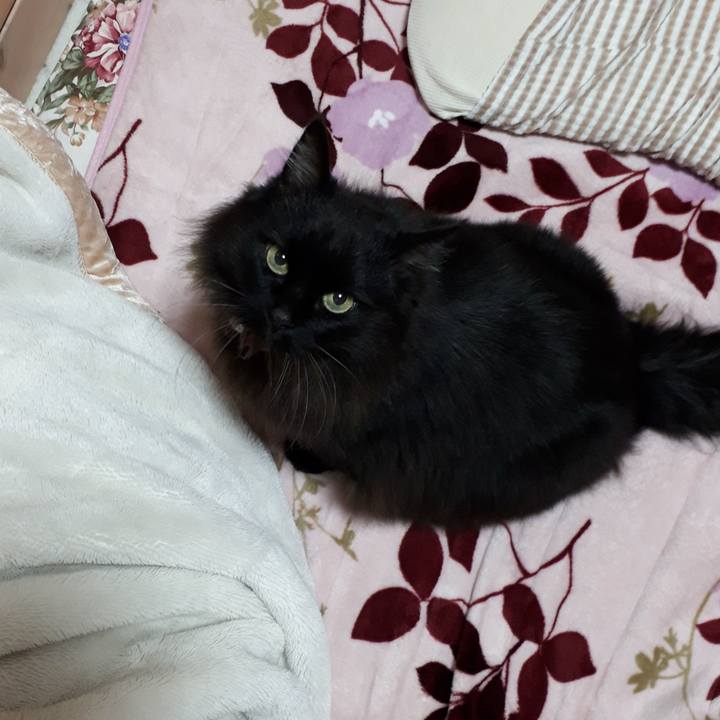 749d61f8 a92c 4f8e 9ecb 405e0bdd47cd 1523104464686