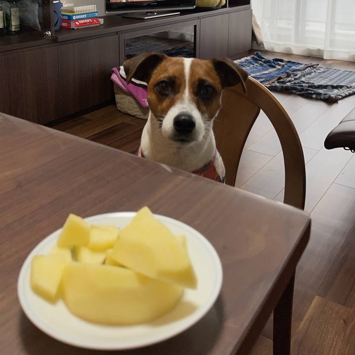 749d72b9 b0f2 4cf3 9fb1 c63ca10f7f5d 1647643020574