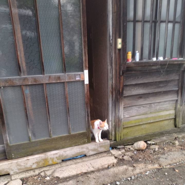 749dc122 3779 473b aeb4 9b1f62d89975 1752529714598