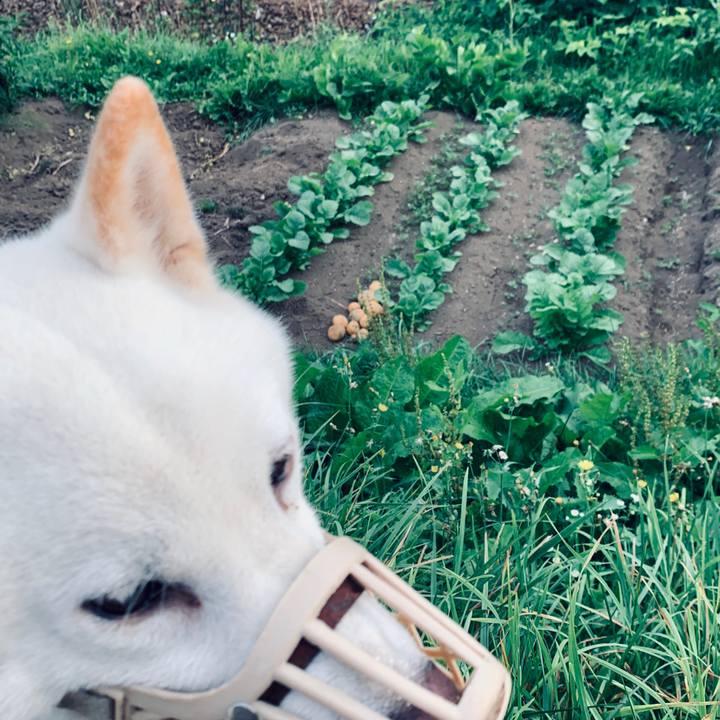 749dc38b a827 491f be44 a127c1d90ed4 1598478023638