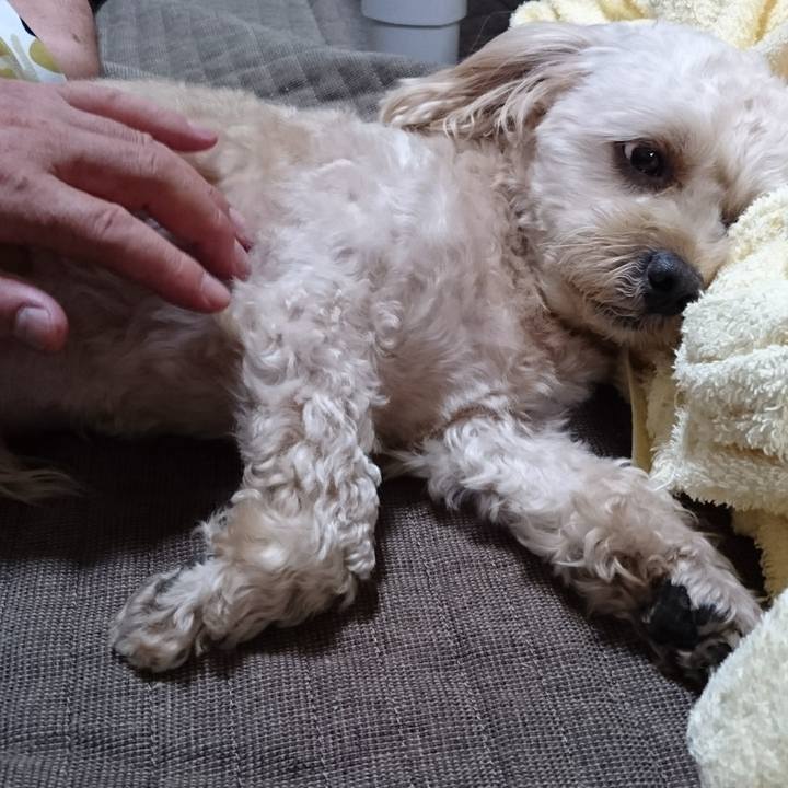 749dc5c0 0f37 4da5 a53b fae046c4b6c7 1532518863956