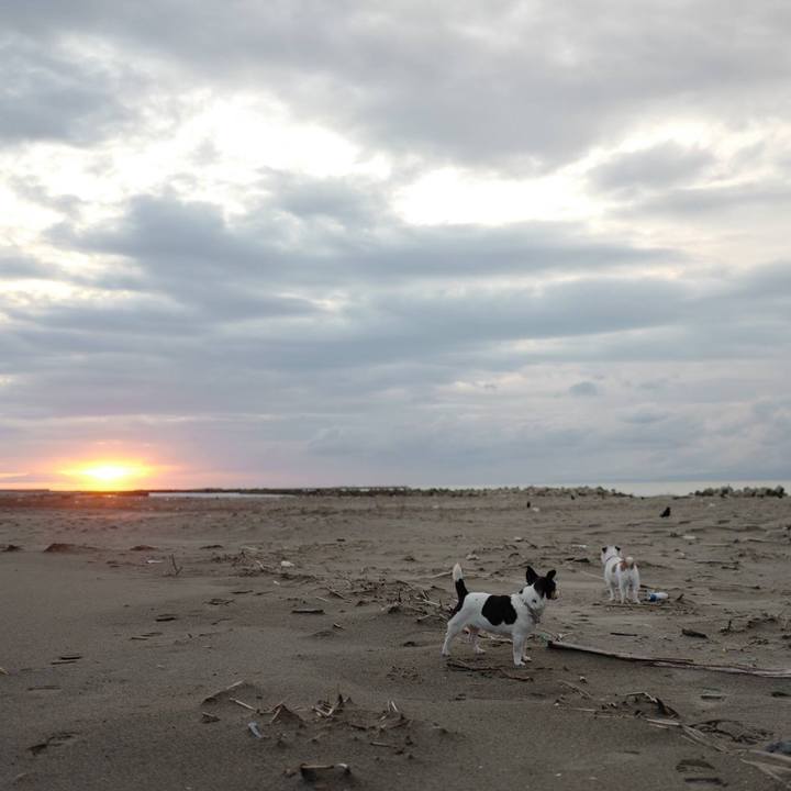 749dd821 c4af 4c73 9494 80b4dc01f603 1512966526788