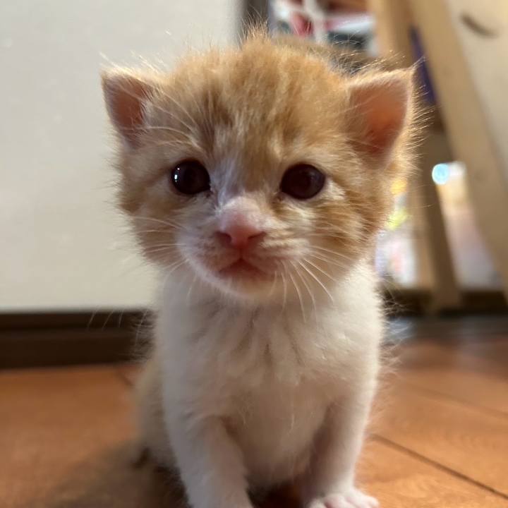 749df302 8c3f 487e 8c35 9437b029fd18 1746840955650