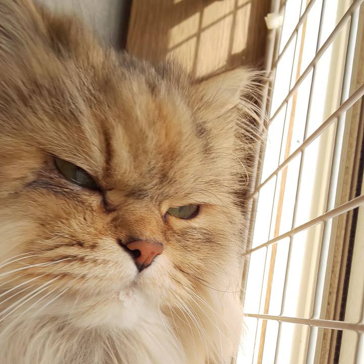 749e2f7b 99d4 405a b72d c57d2cde160f 1610678739234