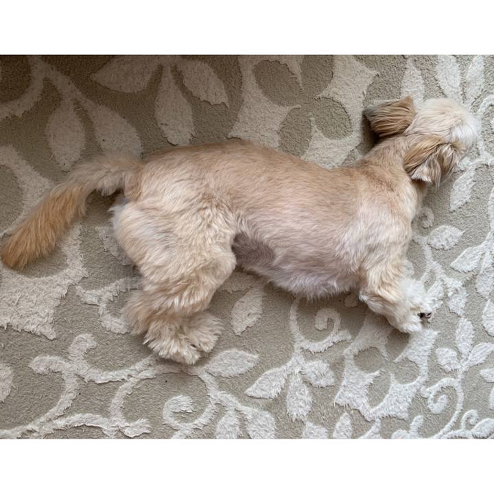 749e4491 d974 49b8 877b 20bb4a91ec4c 1559653504595