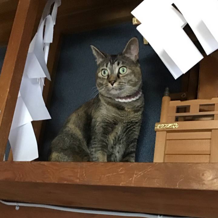 749e5c84 5126 4afe 87c7 0dfe4d938dc8 1716285559538