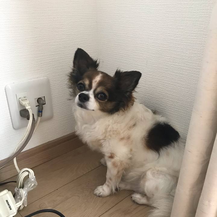 749e8324 cad5 4aa4 9a9e 04637150a1b8 1596770578669