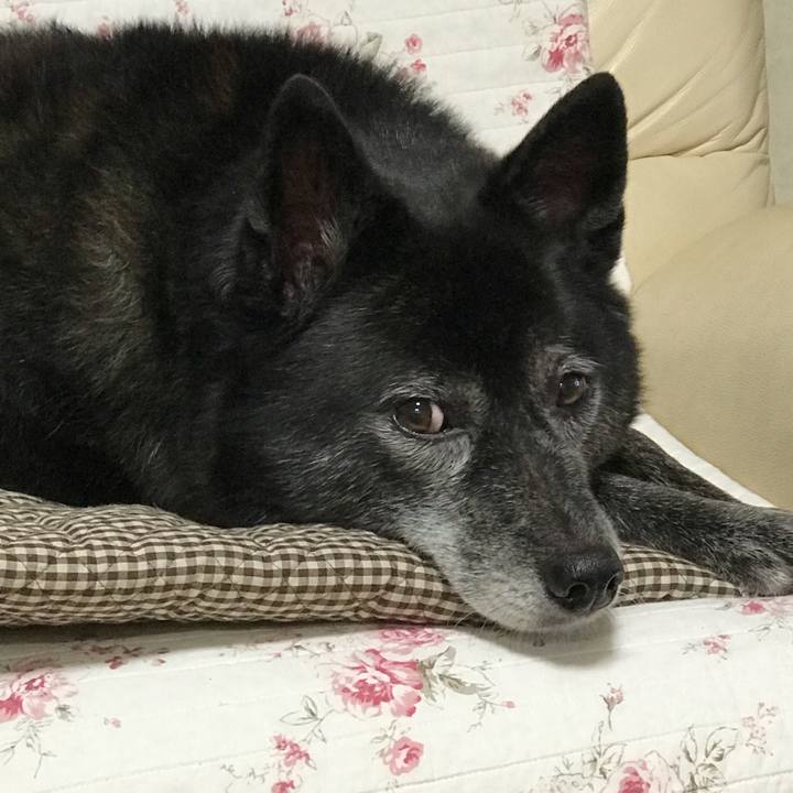 749e9b4a ce51 46ec be0b c1baf8ace079 1538743977166