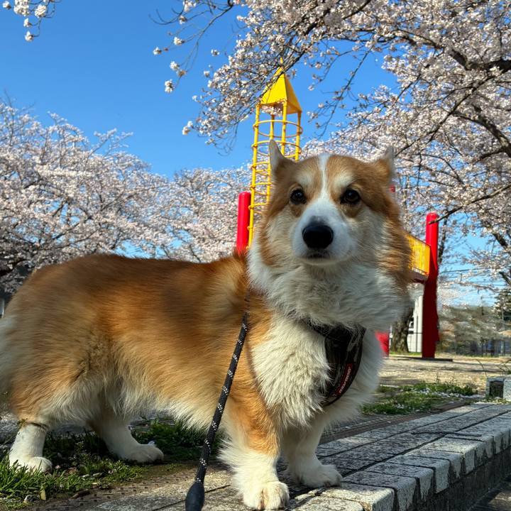 749eb538 8b79 4369 a7de 17eca7c58ada 1775184399900