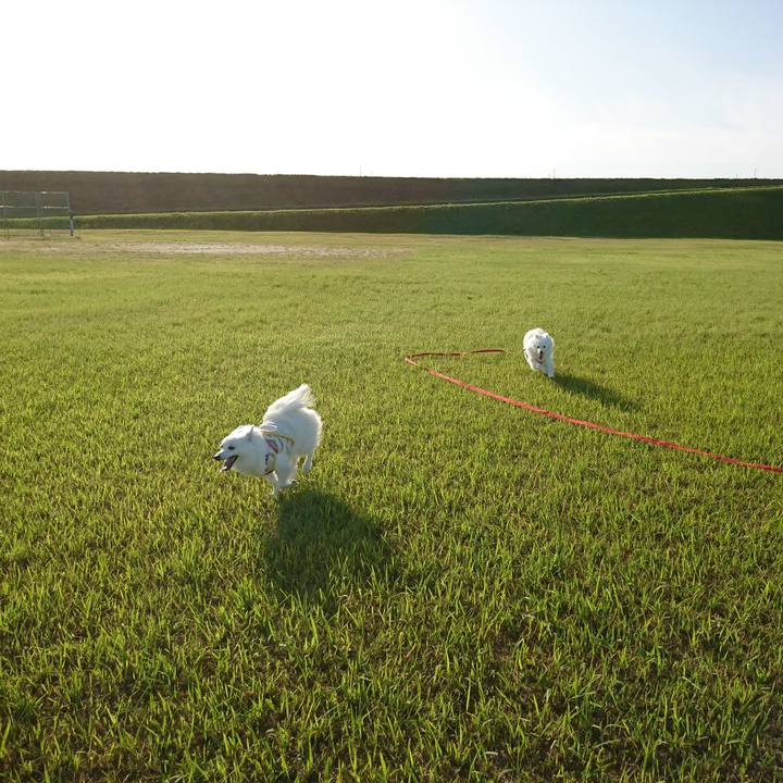 749ed7d3 b575 488c bda9 a60955684665 1590312679087