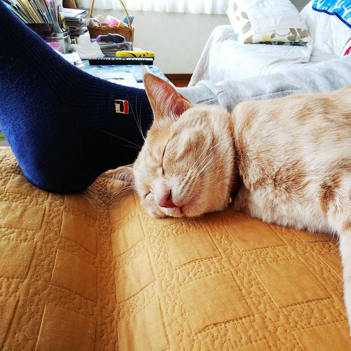 749f4c80 f803 414d 9959 3a7cf2eb8440 1555207600860