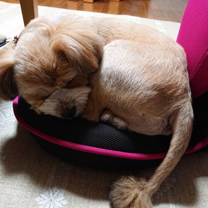 749f4fd1 2bbe 4ab6 9587 24ddbfa92e1b 1596287348681